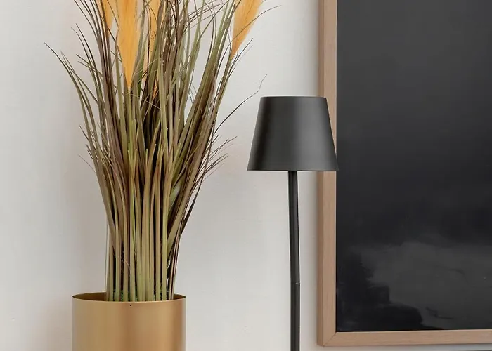 Family Near The In By Renters Apartament